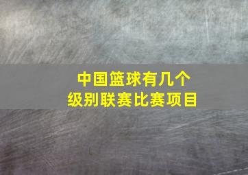 中国篮球有几个级别联赛比赛项目