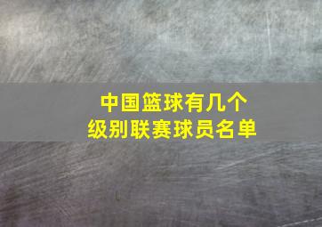 中国篮球有几个级别联赛球员名单