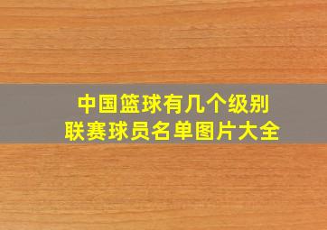 中国篮球有几个级别联赛球员名单图片大全