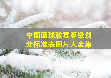 中国篮球联赛等级划分标准表图片大全集