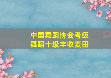 中国舞蹈协会考级舞蹈十级丰收麦田