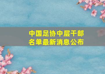 中国足协中层干部名单最新消息公布