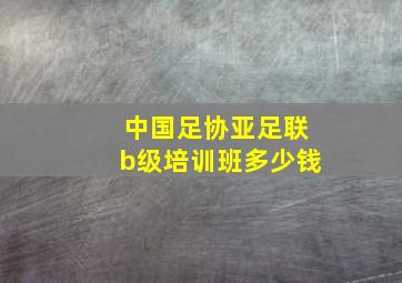 中国足协亚足联b级培训班多少钱