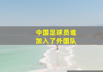 中国足球员谁加入了外国队