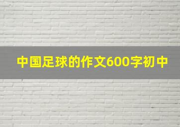 中国足球的作文600字初中