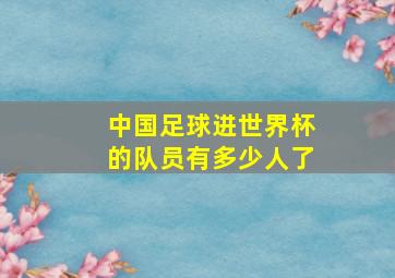 中国足球进世界杯的队员有多少人了