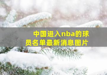 中国进入nba的球员名单最新消息图片