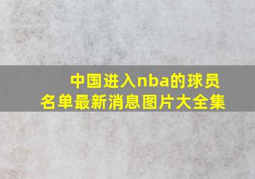 中国进入nba的球员名单最新消息图片大全集