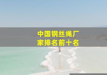 中国钢丝绳厂家排名前十名