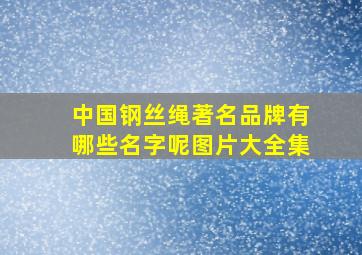 中国钢丝绳著名品牌有哪些名字呢图片大全集