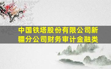 中国铁塔股份有限公司新疆分公司财务审计金融类