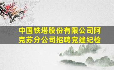 中国铁塔股份有限公司阿克苏分公司招聘党建纪检