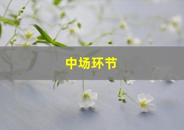 中场环节