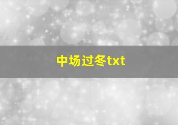 中场过冬txt