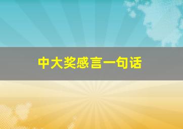 中大奖感言一句话