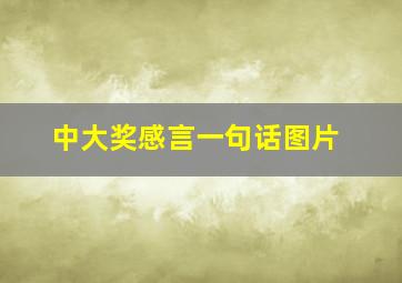 中大奖感言一句话图片