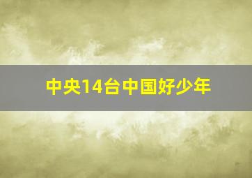 中央14台中国好少年