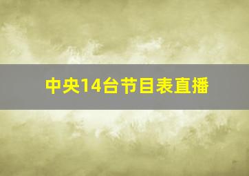 中央14台节目表直播