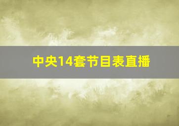 中央14套节目表直播