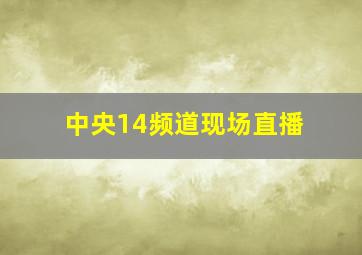 中央14频道现场直播