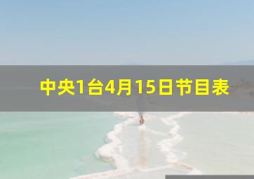 中央1台4月15日节目表