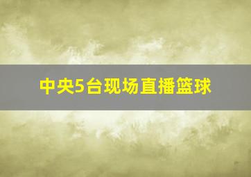 中央5台现场直播篮球