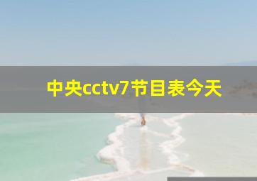 中央cctv7节目表今天