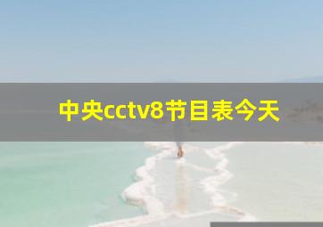 中央cctv8节目表今天