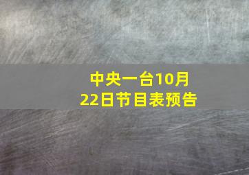 中央一台10月22日节目表预告