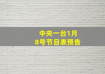 中央一台1月8号节目表预告