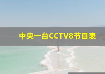 中央一台CCTV8节目表