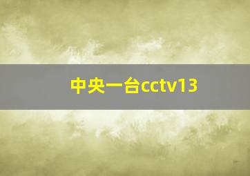 中央一台cctv13