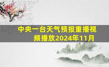 中央一台天气预报重播视频播放2024年11月