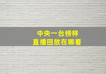 中央一台榜样直播回放在哪看