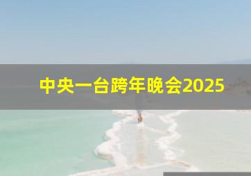 中央一台跨年晚会2025