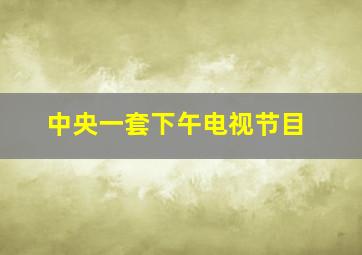 中央一套下午电视节目