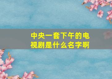 中央一套下午的电视剧是什么名字啊