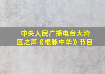 中央人民广播电台大湾区之声《根脉中华》节目