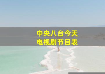 中央八台今天电视剧节目表