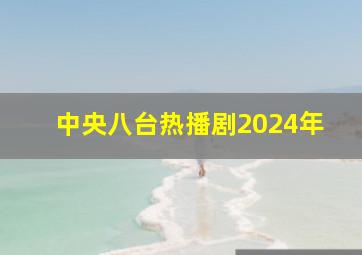 中央八台热播剧2024年