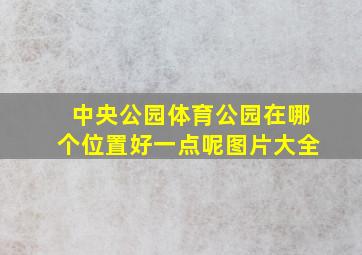 中央公园体育公园在哪个位置好一点呢图片大全