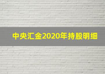 中央汇金2020年持股明细