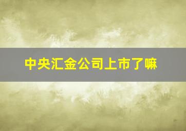 中央汇金公司上市了嘛