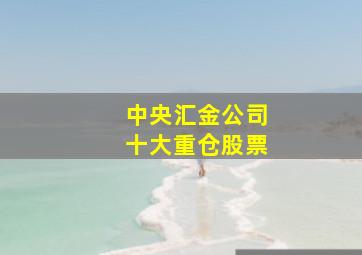 中央汇金公司十大重仓股票