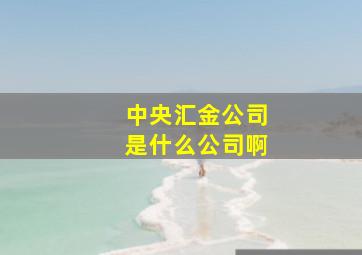 中央汇金公司是什么公司啊