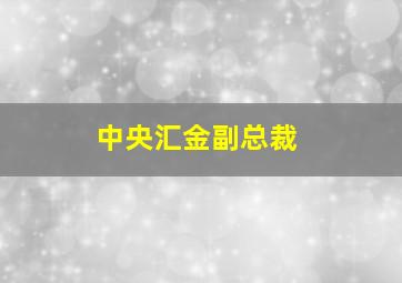 中央汇金副总裁