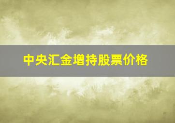 中央汇金增持股票价格