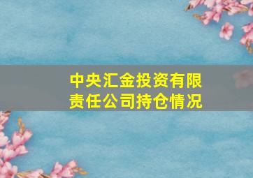 中央汇金投资有限责任公司持仓情况