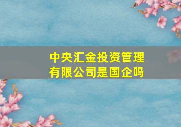 中央汇金投资管理有限公司是国企吗