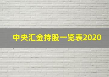 中央汇金持股一览表2020